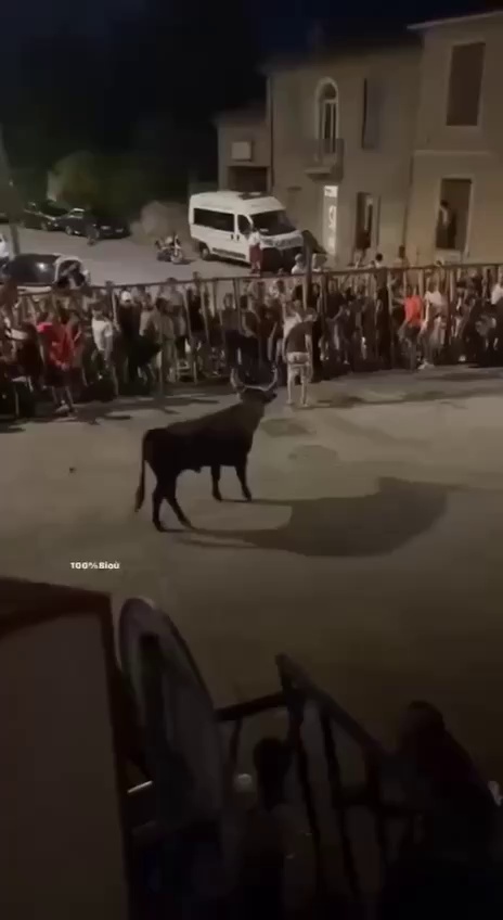 Don't mess with a bull