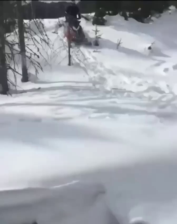 nice try snowmobile