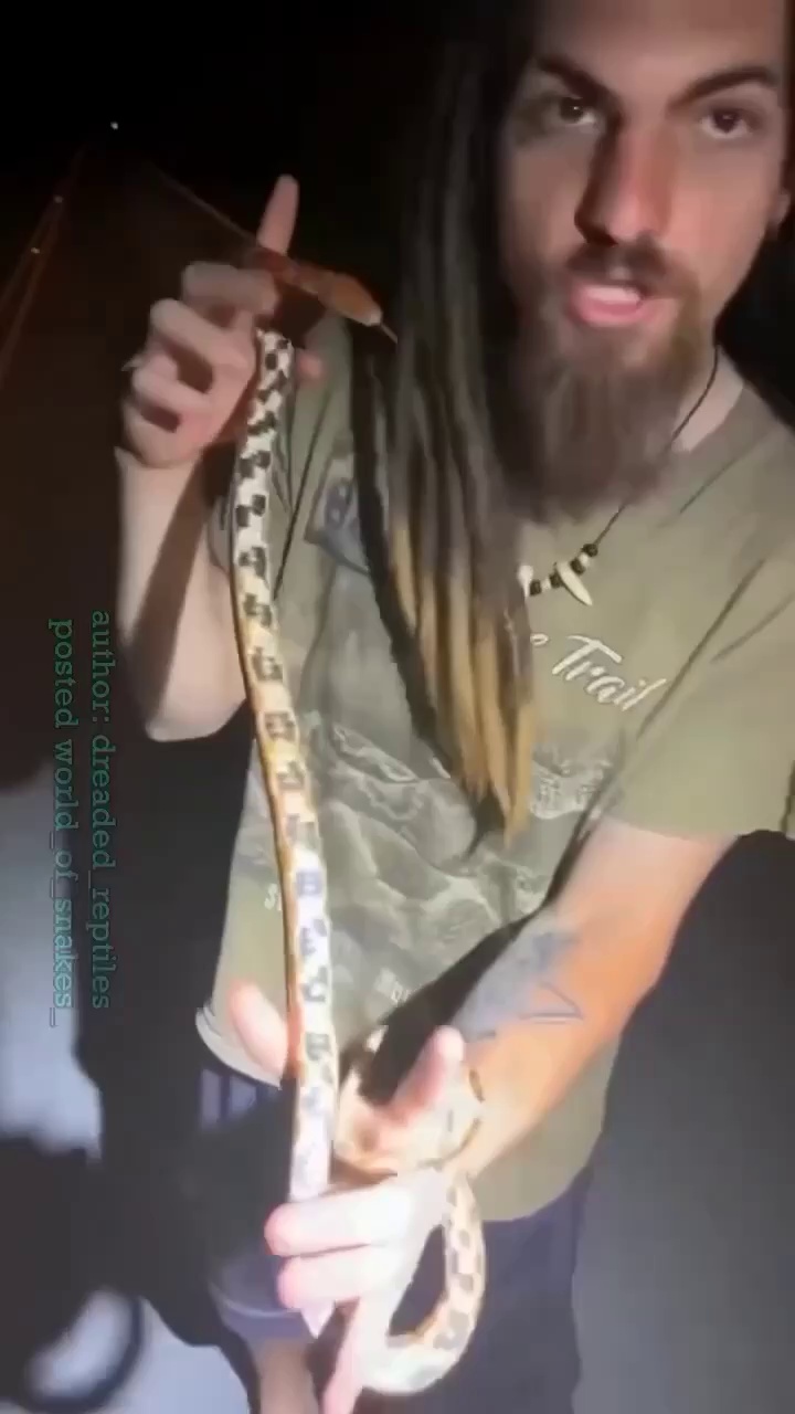 snake bite